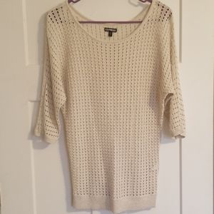 Express Sparkle Sweater
